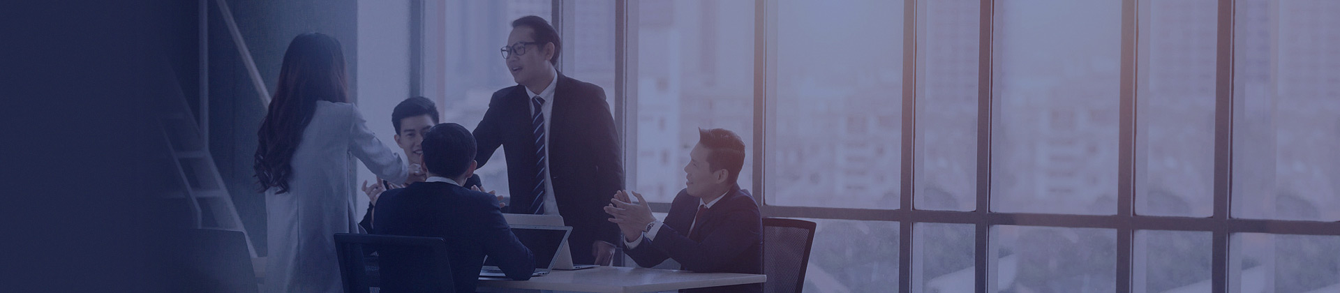 IT咨詢與規(guī)劃服務